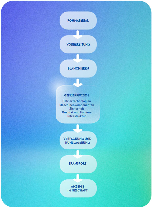 WERTSCHÖPFUNGSKETTE DES GEFRIERPROZESSES VON LEBENSMITTELN